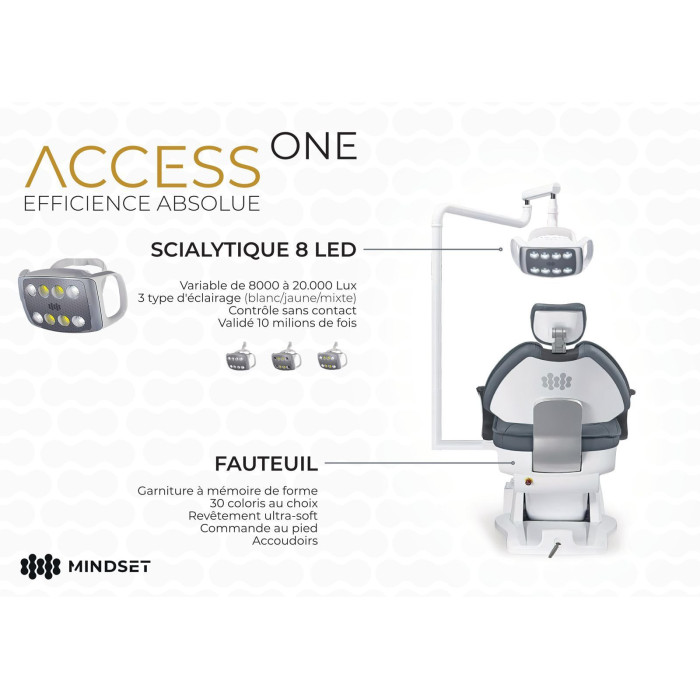 ACCESS ONE